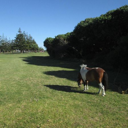 Monday Seaside Cottage Whanganui Bagian luar foto