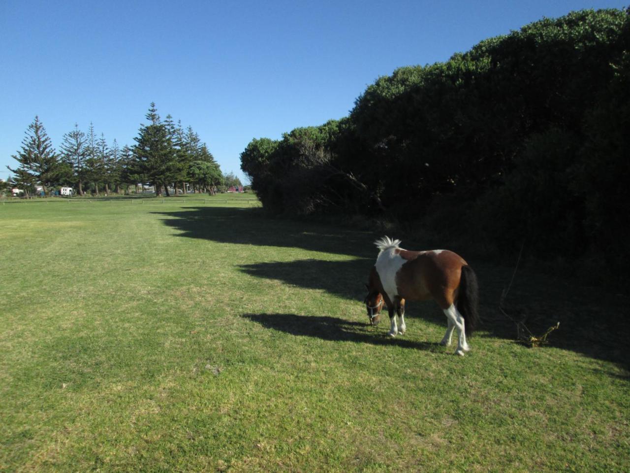 Monday Seaside Cottage Whanganui Bagian luar foto